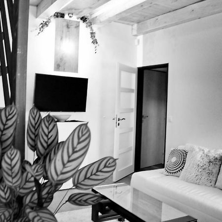Apartmany Ztracena Roudnice nad Labem Luaran gambar